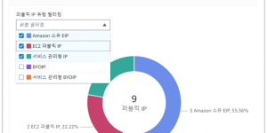 IPv4 Insights